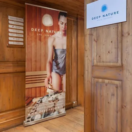 La Ginabelle 4p 8 Classic Apartment Chamonix